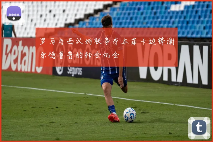 罗马与西汉姆联争夺本菲卡边锋谢尔德鲁普的转会机会