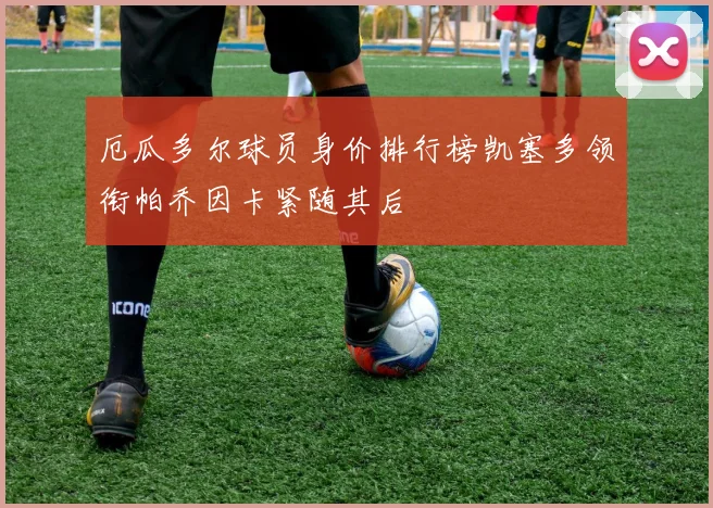 厄瓜多尔球员身价排行榜凯塞多领衔帕乔因卡紧随其后